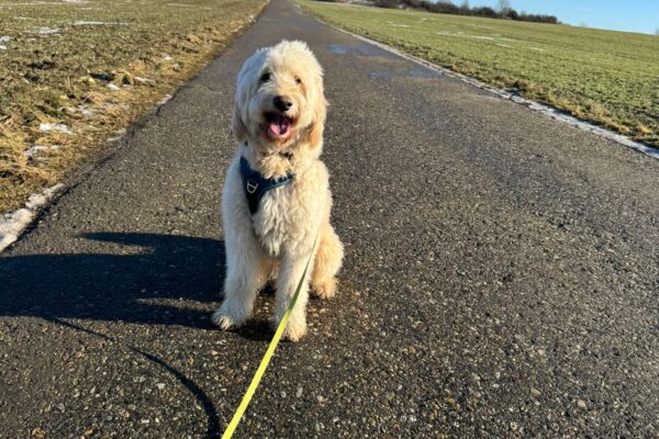 8a188ed2-167c-495c-94bd-21054b3e0c63