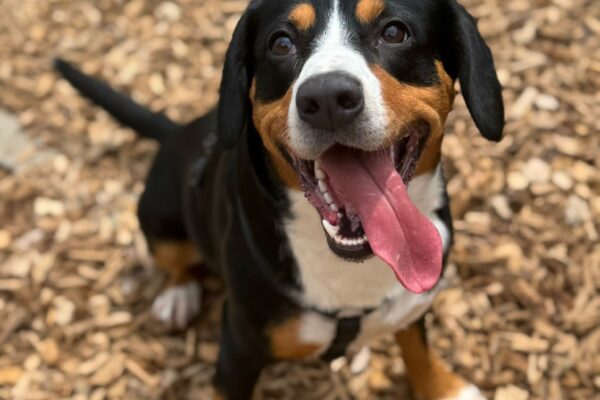 fe6c864f-17fe-4db9-9cc9-746f5afc7fe4